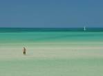 Em meio às águas rasas do mar da ilha de Holbox, no norte do Yucatán, no México